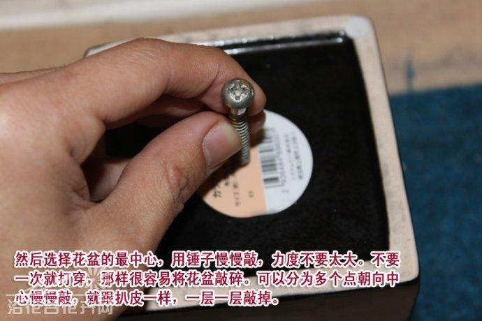 澳门十大赌博正规官网